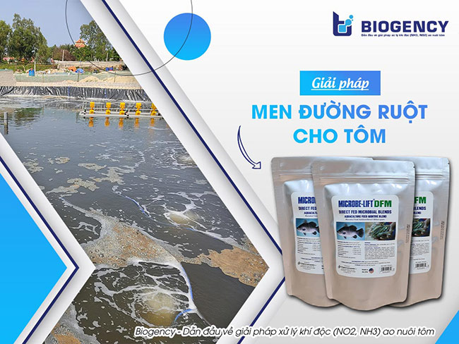 Men vi sinh đường ruột Microbe-Lift DFM.