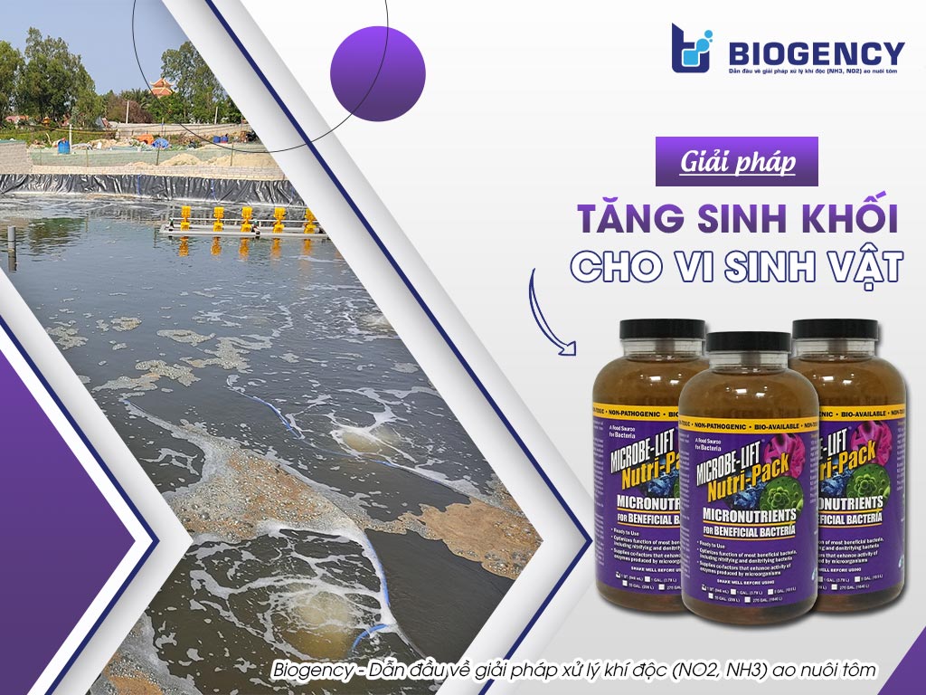 Giải Pháp Tăng Sinh Khối Cho Vi Sinh Vật
