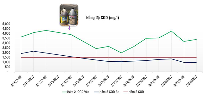 Đồ thị thể hiện nồng độ COD nước thải chế biến tinh bột mì vào và ra Hầm Biogas 2 (tính theo mg/l)