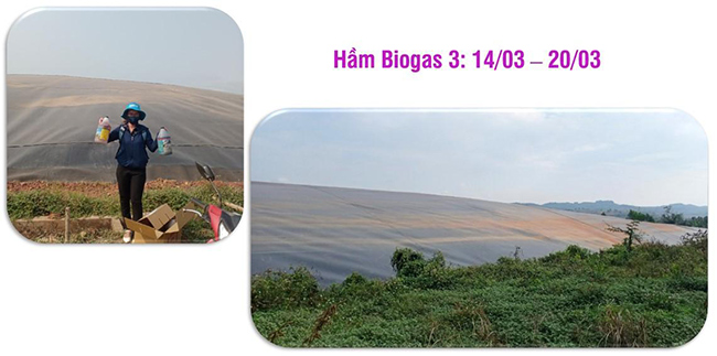 Hình ảnh sau khi sử dụng vi sinh Microbe-Lift ở Hầm Biogas 3 trong hệ thống xử lý nước thải chế biến tinh bột mì Nhà máy Hướng Hóa