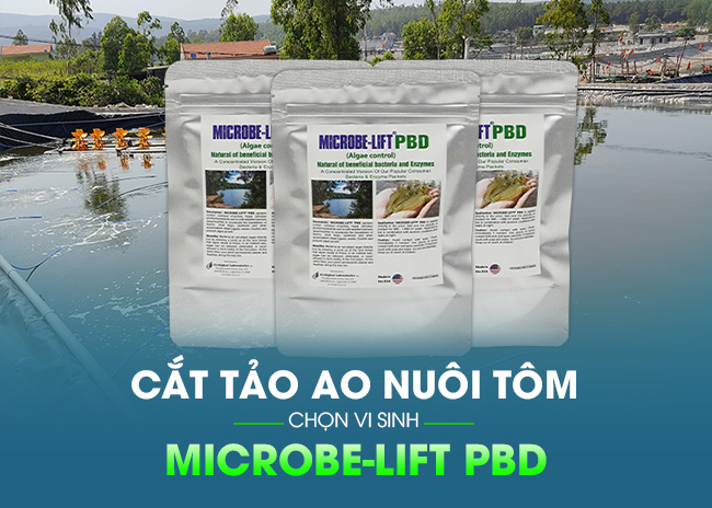 Men vi sinh cắt tảo Microbe-Lift PBD
