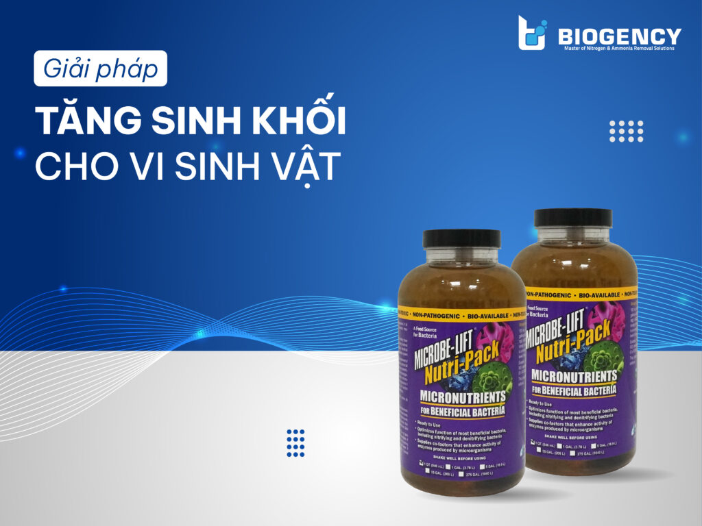Giải Pháp Tăng Sinh Khối Cho Vi Sinh Vật