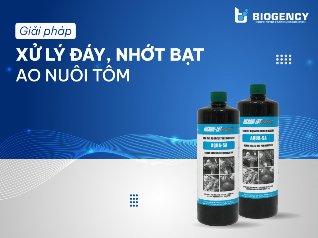Giải Pháp Xử Lý Đáy Ao Nuôi Tôm
