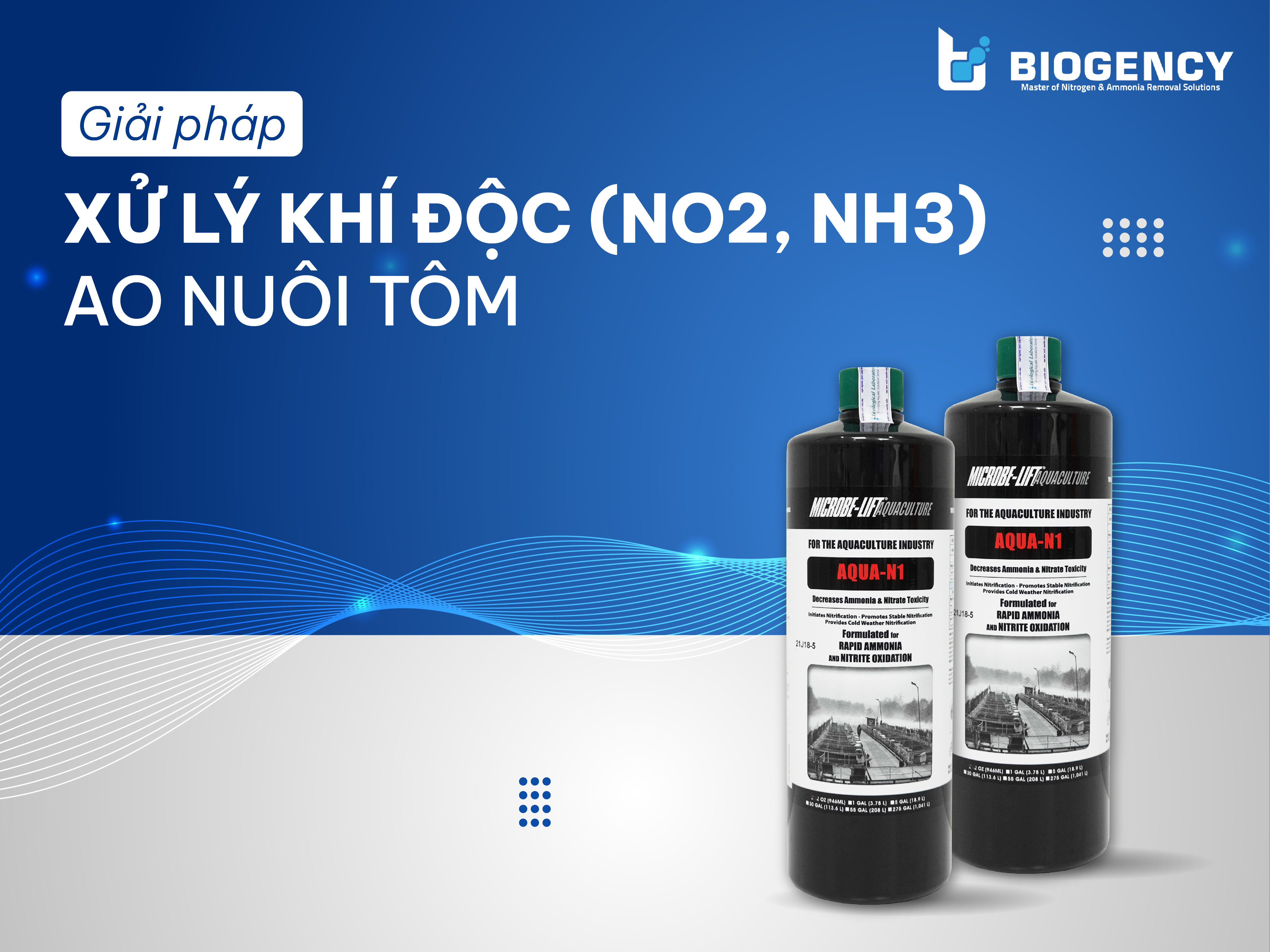 Giải Pháp Xử Lý Khí Độc (NO2, NH3) Ao Nuôi Tôm Giải Pháp Xử Lý Khí Độc (NO2, NH3) Ao Nuôi Tôm
