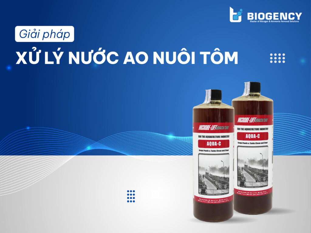 Giải Pháp Xử Lý Nước Ao Nuôi Tôm