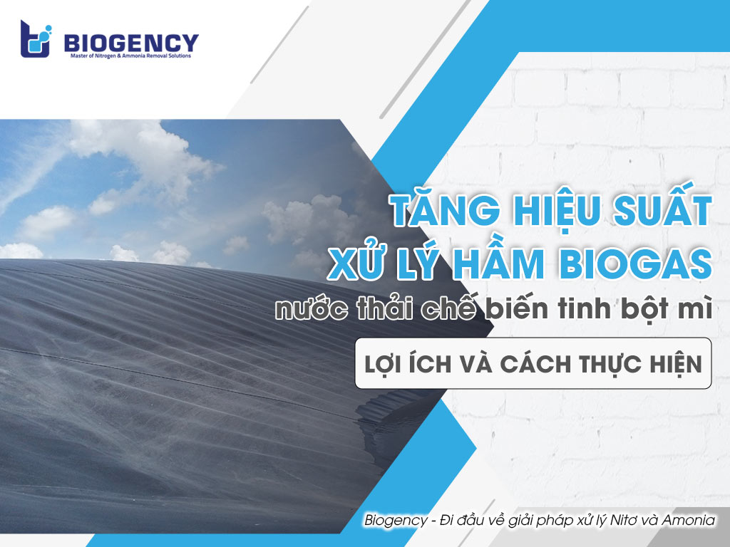 Tăng hiệu suất xử lý hầm Biogas nước thải chế biến tinh bột mì