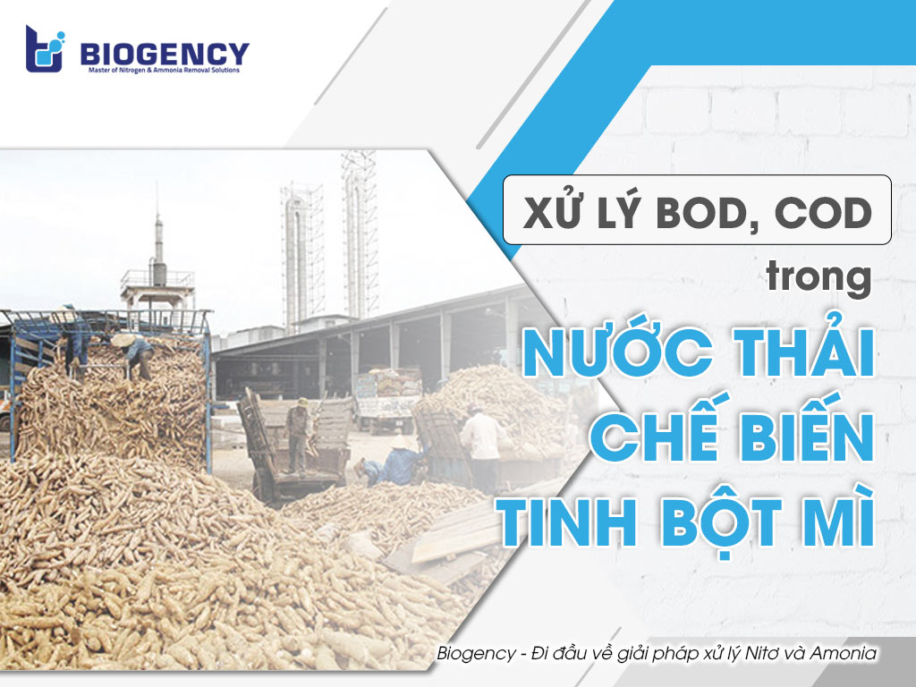 nước thải chế biến tinh bột mì