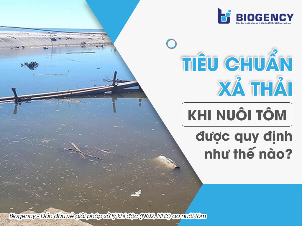 Tiêu chuẩn xả thải khi nuôi tôm được quy định như thế nào?
