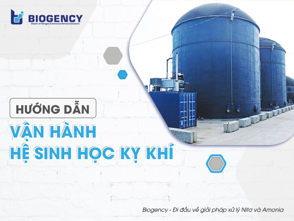 Hướng dẫn vận hành hệ sinh học kỵ khí