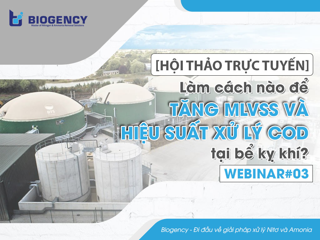 Làm cách nào để tăng MLVSS và hiệu suất xử lý COD tại bể kỵ khí?