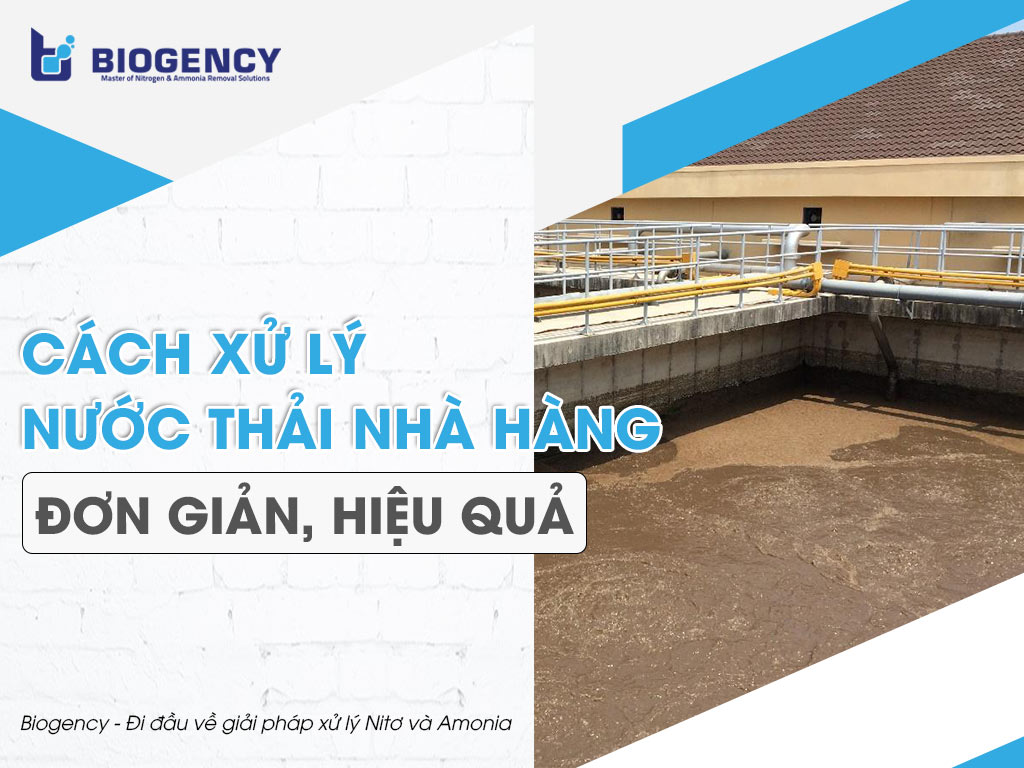Cách xử lý nước thải nhà hàng đơn giản, hiệu quả