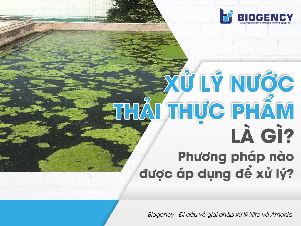 Xử lý nước thải thực phẩm