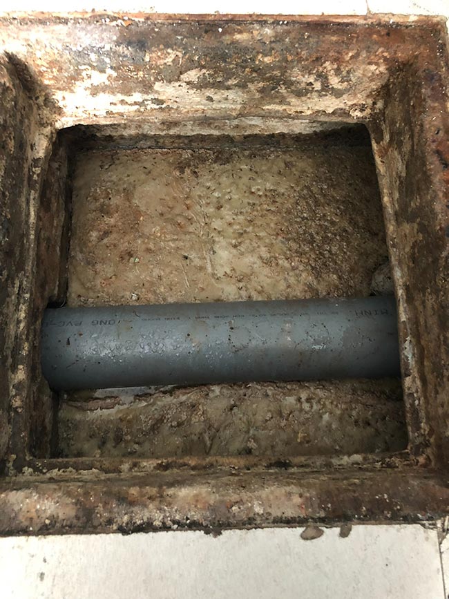 Dầu mỡ, chất béo được giữ lại tại bể tách mỡ của một nhà hàng tại TPHCM.