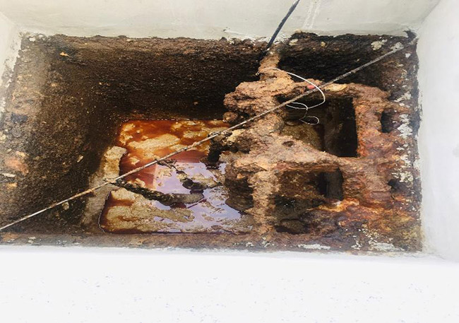 Mỡ từ quá trình sản xuất cá tra tại bể tách mỡ.