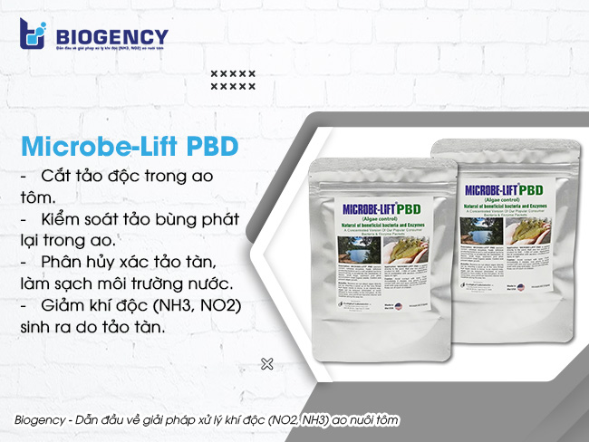 Men vi sinh Microbe-Lift PBD chuyên dùng để cắt tảo ao nuôi tôm. 