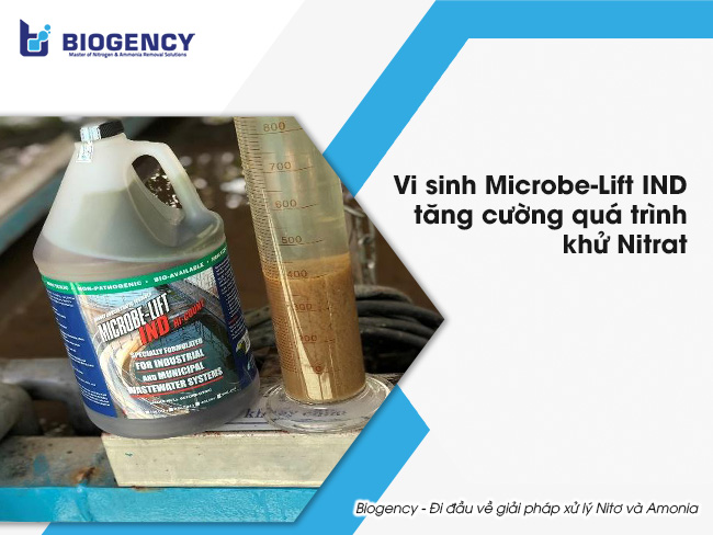 Vi sinh Microbe-Lift IND tăng cường quá trình khử Nitrat.