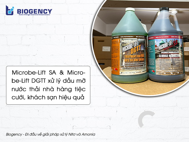 Bộ đôi sản phẩm Microbe-Lift SA và Microbe-Lift DGTT giúp giải quyết vấn đề tắc nghẽn đường ống thoát nước do dầu mỡ và chất béo gây ra.