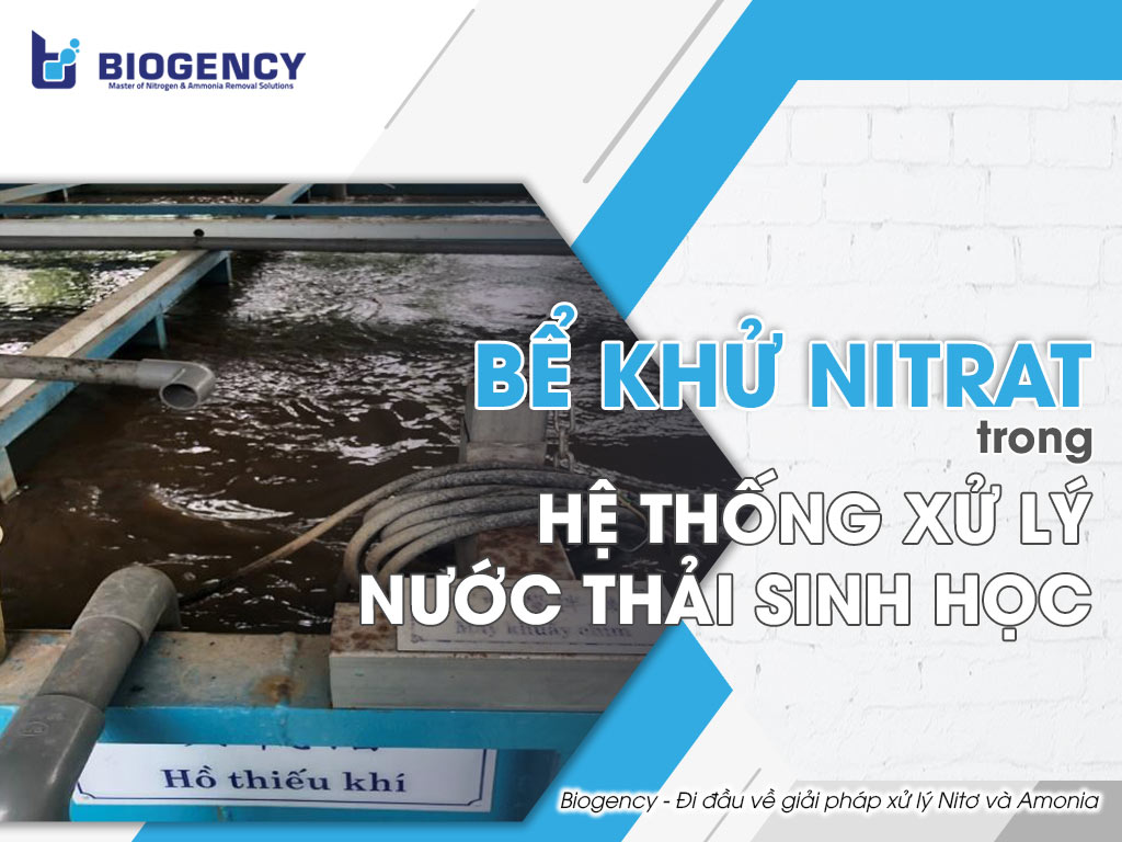 Bể khử Nitrat trong hệ thống xử lý nước thải sinh học