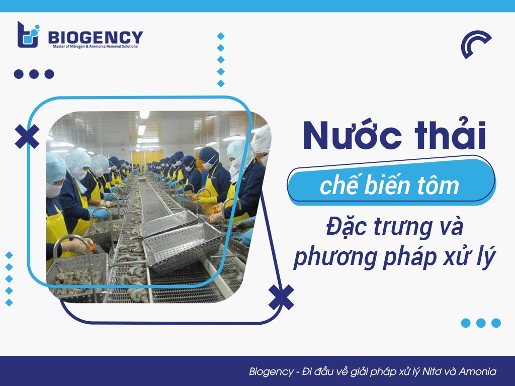 Nước thải chế biến tôm: Đặc trưng và phương pháp xử lý