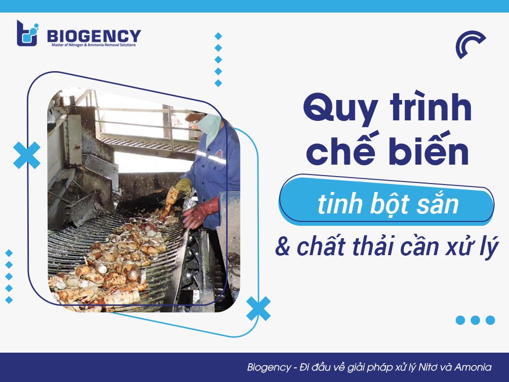 Quy trình chế biến tinh bột sắn và chất thải cần xử lý