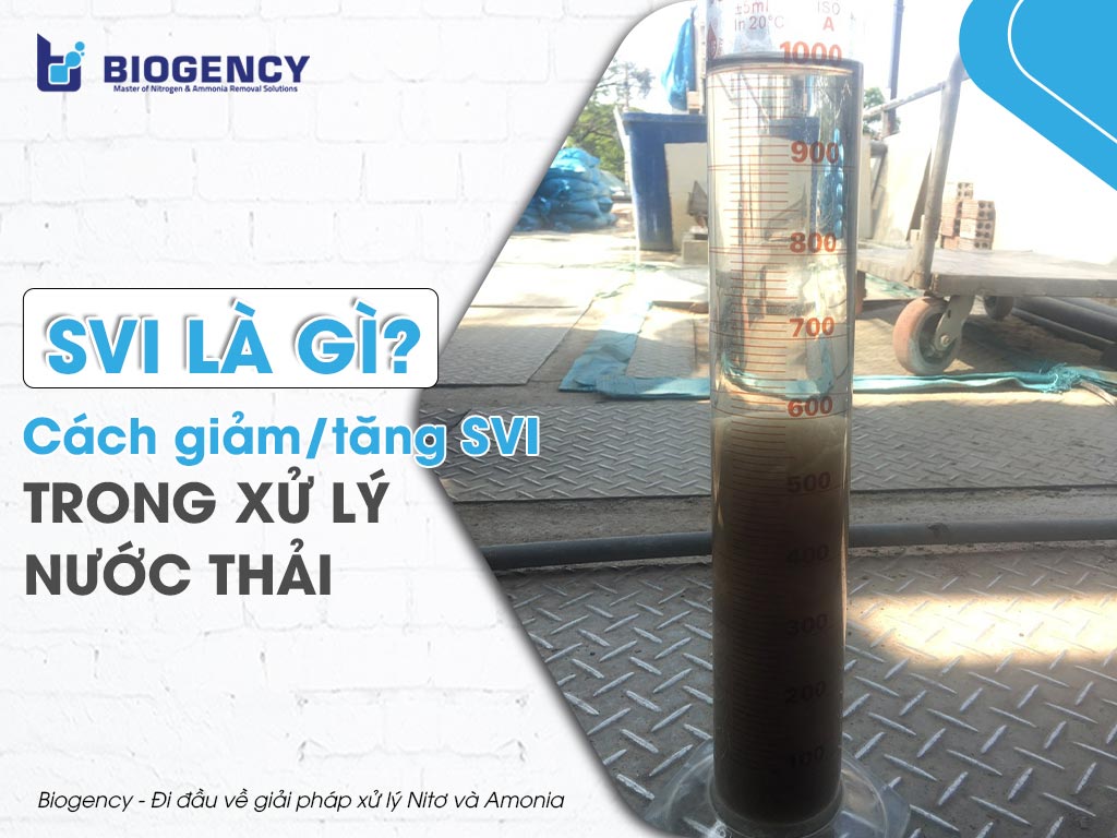 SVI là gì? Cách giảm/tăng SVI trong xử lý nước thải