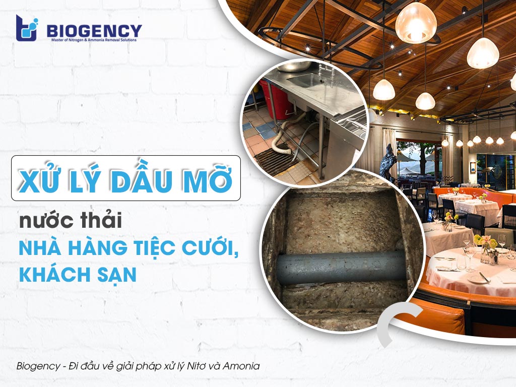 Xử lý dầu mỡ nước thải nhà hàng tiệc cưới, khách sạn