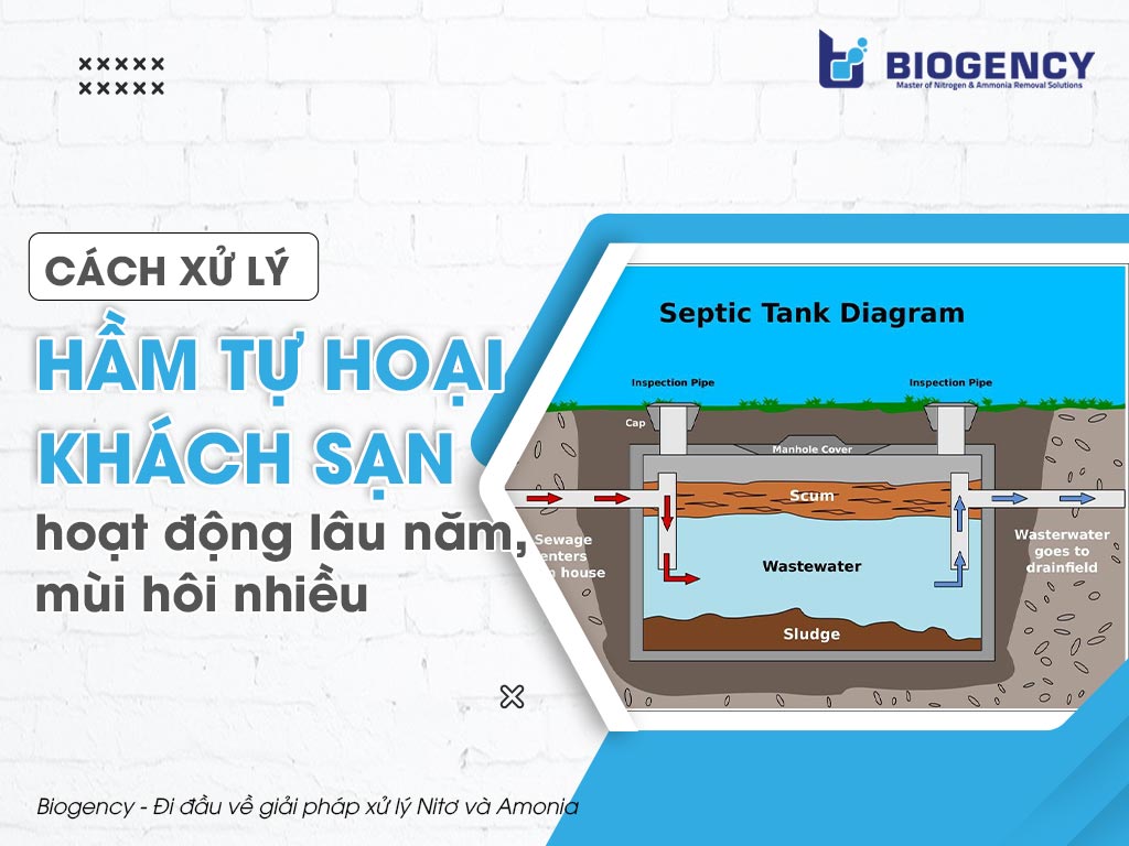 Cách xử lý hầm tự hoại khách sạn hoạt động lâu năm, mùi hôi nhiều