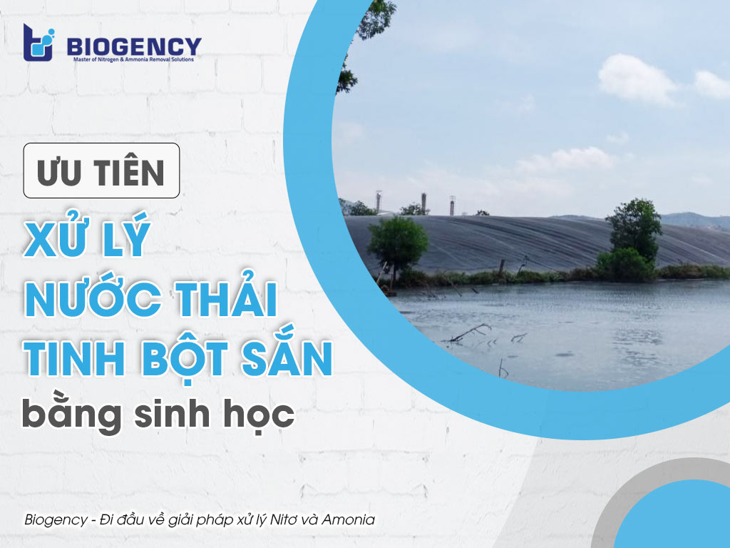 Ưu tiên xử lý nước thải tinh bột sắn bằng sinh học