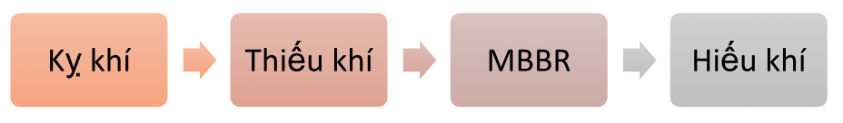 Một số sơ đồ kết hợp công nghệ AAO-MBBR
