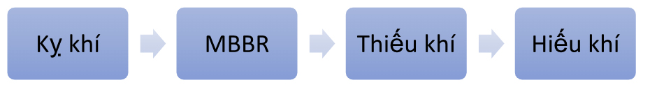 Một số sơ đồ kết hợp công nghệ AAO-MBBR