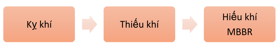 Một số sơ đồ kết hợp công nghệ AAO-MBBR: