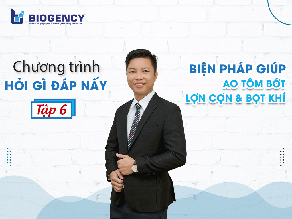 hỏi gì đáp nấy