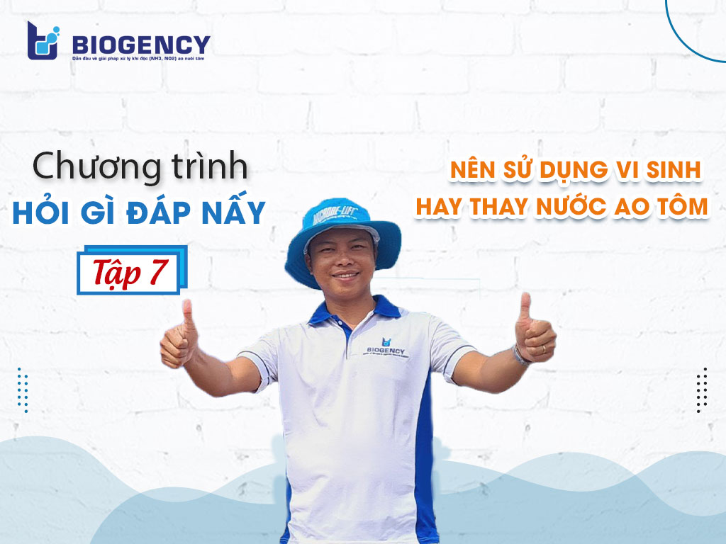 hỏi gì đáp nấy