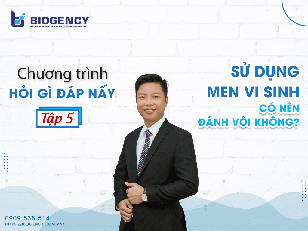 hỏi gì đáp nấy