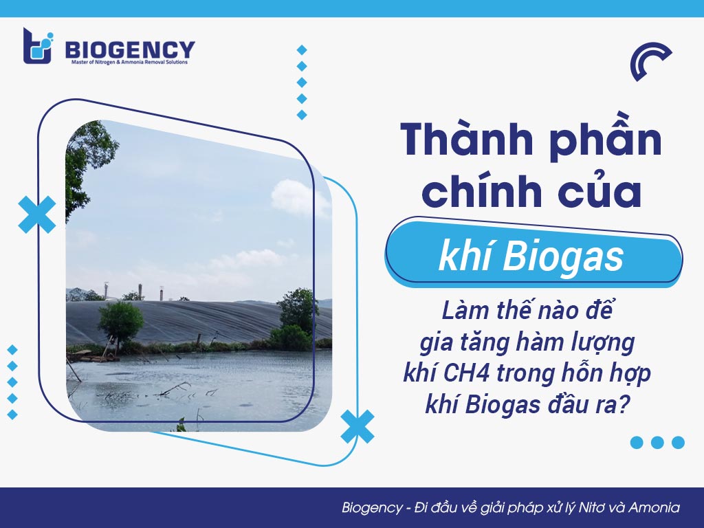 Thành phần chính của khí Biogas. Làm thế nào để gia tăng hàm lượng khí CH4 trong hỗn hợp khí Biogas đầu ra?