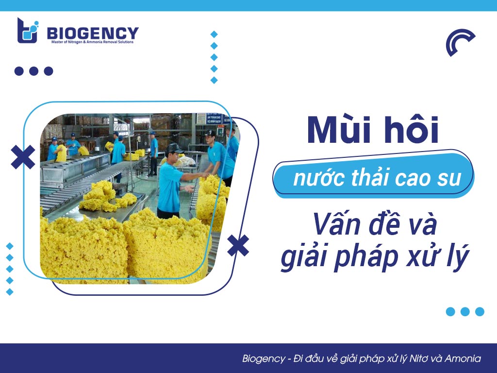 Mùi hôi nước thải cao su: Vấn đề và giải pháp xử lý