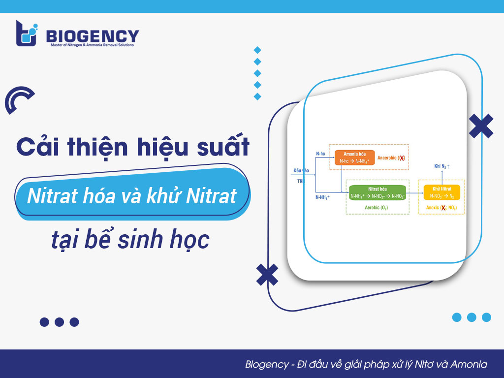 Cải thiện hiệu suất Nitrat hóa và khử Nitrat tại bể sinh học