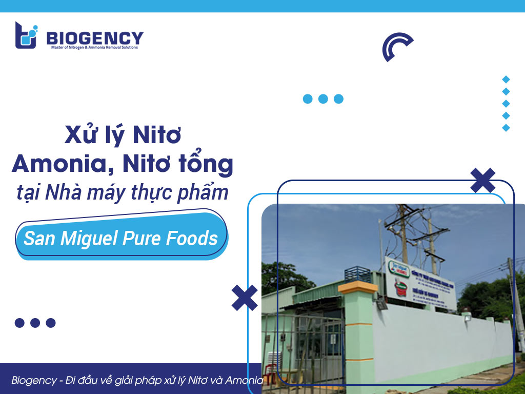 Xử lý Nitơ Amonia và Nitơ tổng tại Nhà máy thực phẩm San Miguel Pure Foods, Bình Dương