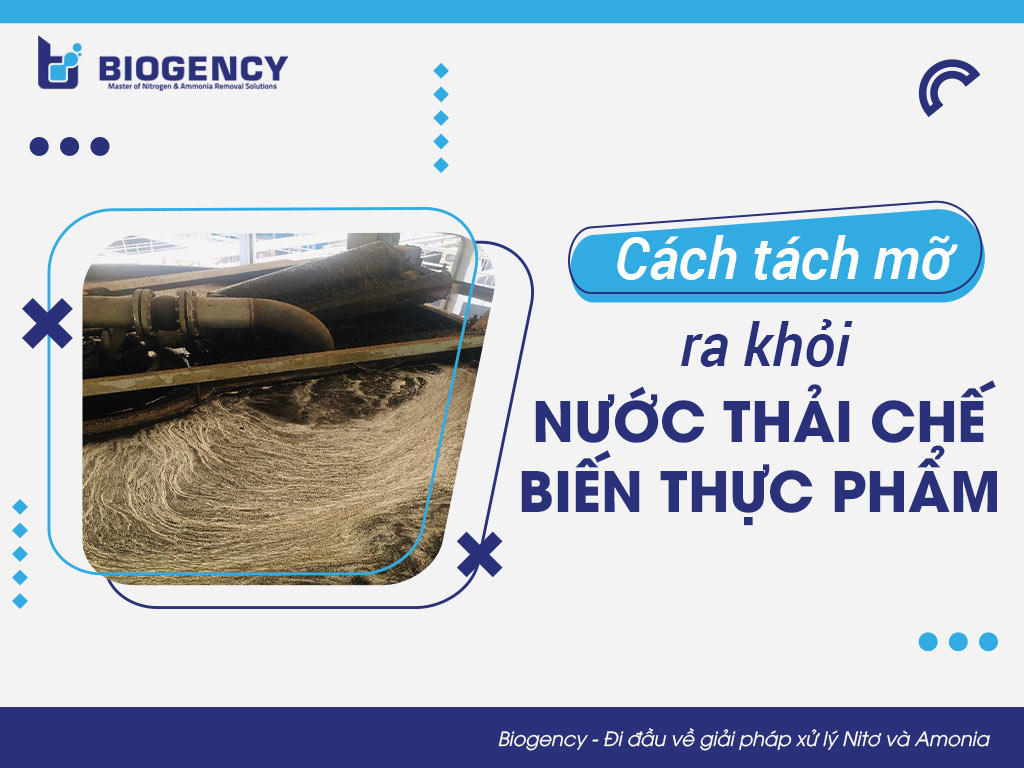 Cách tách mỡ ra khỏi nước thải chế biến thực phẩm