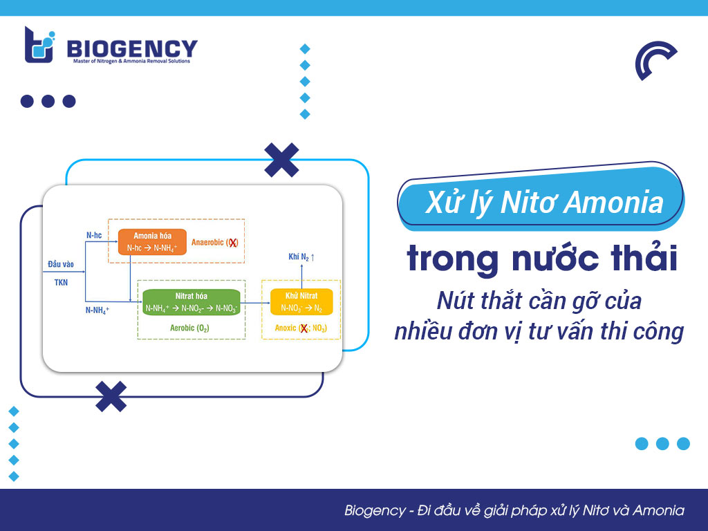 Xử lý Nitơ Amonia trong nước thải - Nút thắt cần gỡ của nhiều đơn vị tư vấn thi công
