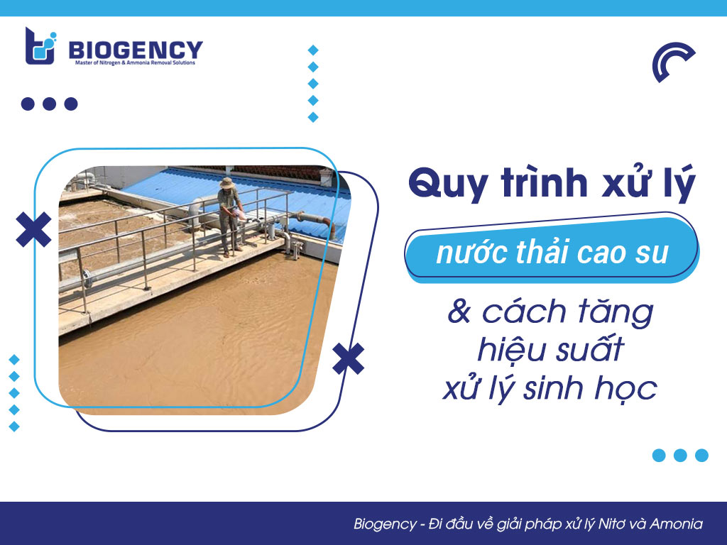 Quy trình xử lý nước thải cao su và cách tăng hiệu suất xử lý sinh học
