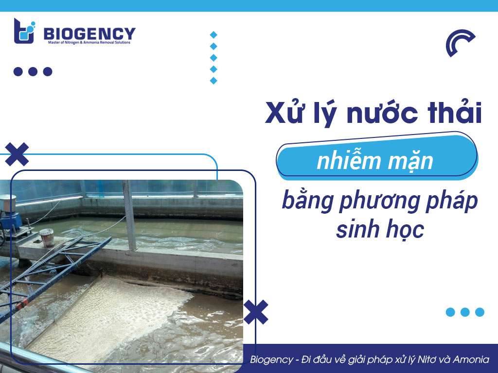 Xử lý nước thải nhiễm mặn bằng phương pháp sinh học