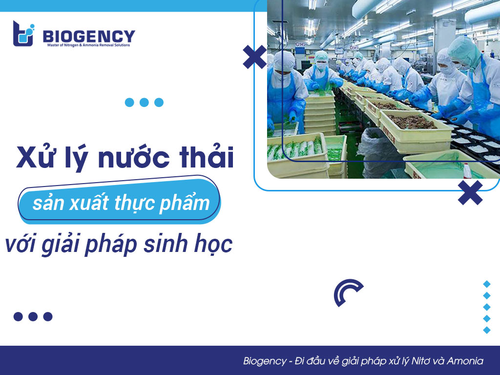 Xử lý nước thải sản xuất thực phẩm với giải pháp sinh học