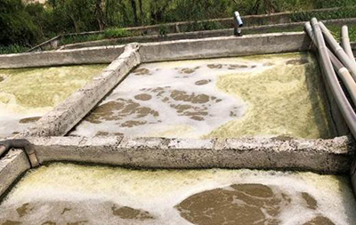 Hệ thống xử lý nước thải cao su đang bị Nitơ cao và bùn mịn khó lắng. Hệ thống xử lý nước thải cao su đang bị Nitơ cao và bùn mịn khó lắng.