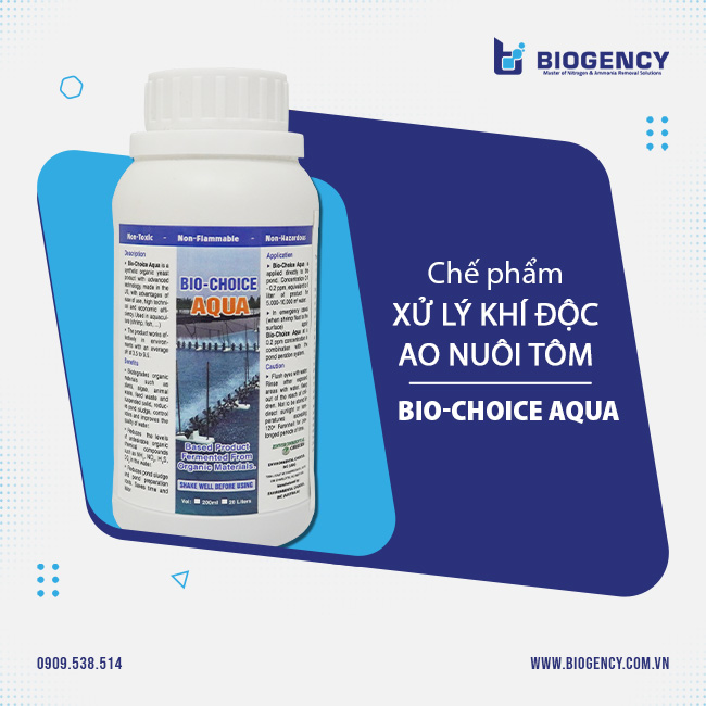Chế phẩm xử lý khí độc ao nuôi tôm Bio-Choice AQUA. Chế phẩm xử lý khí độc ao nuôi tôm Bio-Choice AQUA.