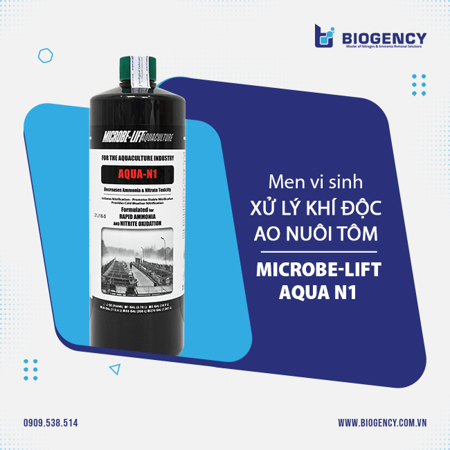 Men vi sinh xử lý khí độc ao nuôi tôm Microbe-Lift AQUA N1 Men vi sinh xử lý khí độc ao nuôi tôm Microbe-Lift AQUA N1
