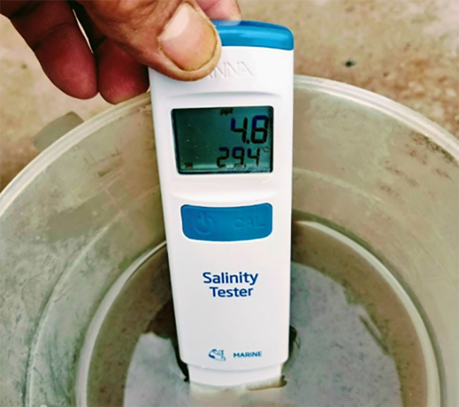 [CASE STUDY] Phục hồi hệ vi sinh và tăng hiệu suất xử lý nước thải tại Nhà máy chế biến thủy sản thực phẩm Việt