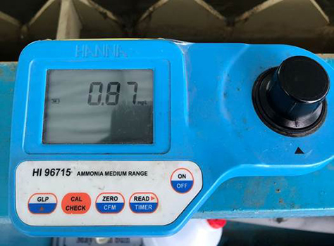 Kết quả sau 3 tuần sử dụng vi sinh Microbe-Lift. Kết quả sau 3 tuần sử dụng vi sinh Microbe-Lift.