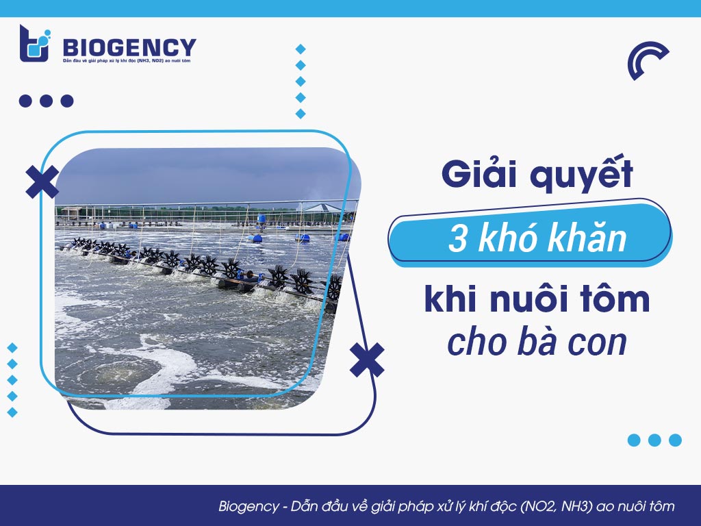 Giải quyết 3 khó khăn khi nuôi tôm cho bà con