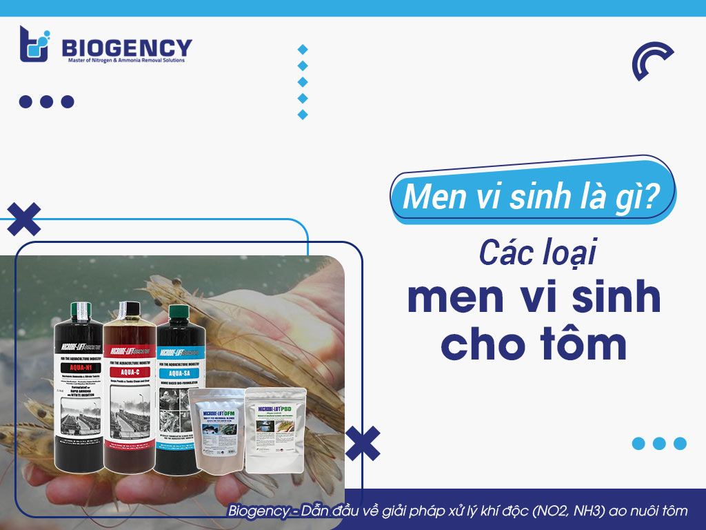 Men vi sinh là gì? Các loại men vi sinh cho tôm